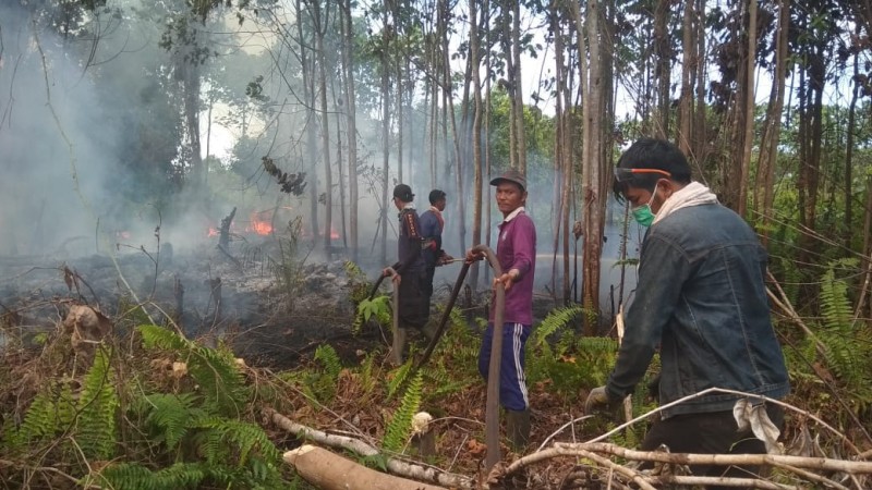 Polda Riau Tetapkan 70 Tersangka Kasus Karhutla, Dua Korporasi